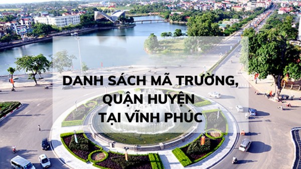 Những trường cấp 3 danh tiếng có thể làm bằng tại Vĩnh Phúc